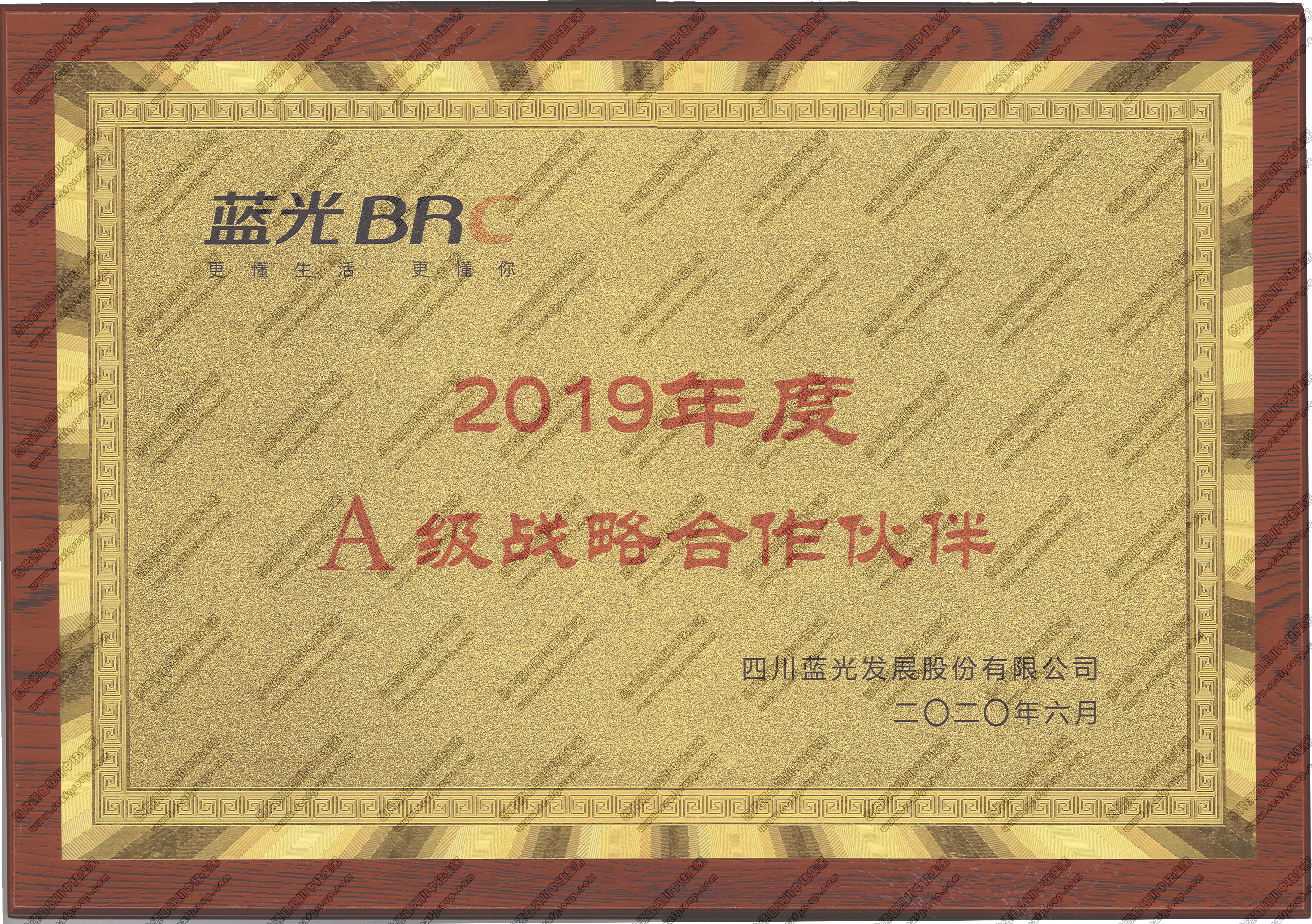 獎牌：藍光BRC 2019年度A級戰(zhàn)略合作伙伴